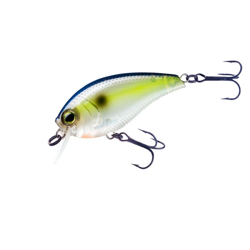 DUEL Yo-Zuri 3DB Crank 1.5 Squarebill Floating 60mm in Sexy Shad - Image 1